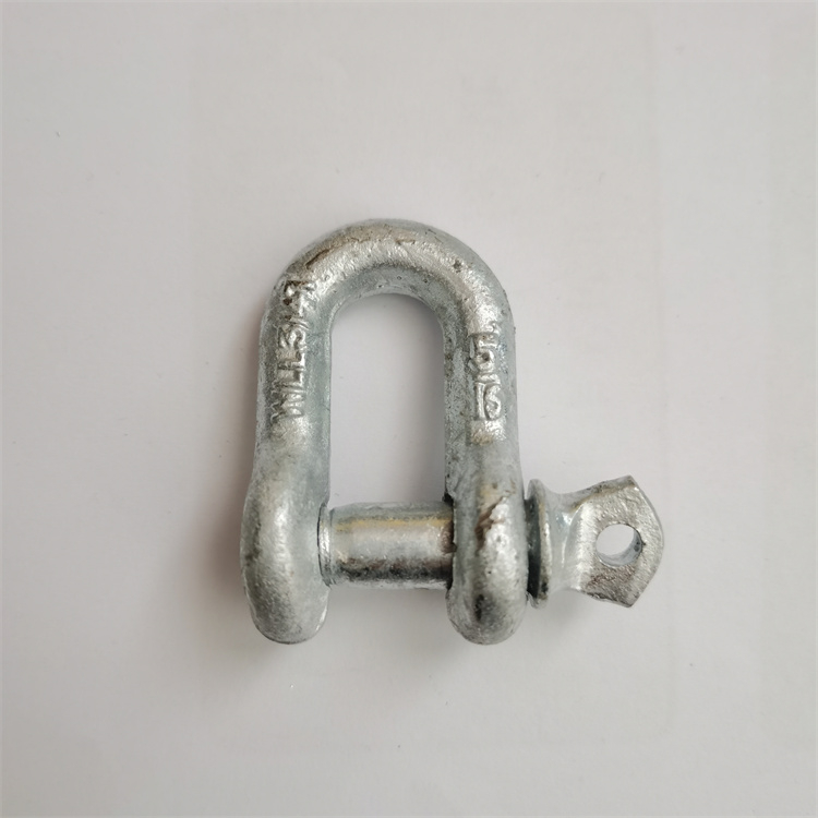 Drop Forged Chain Shackle D Ring Shackle