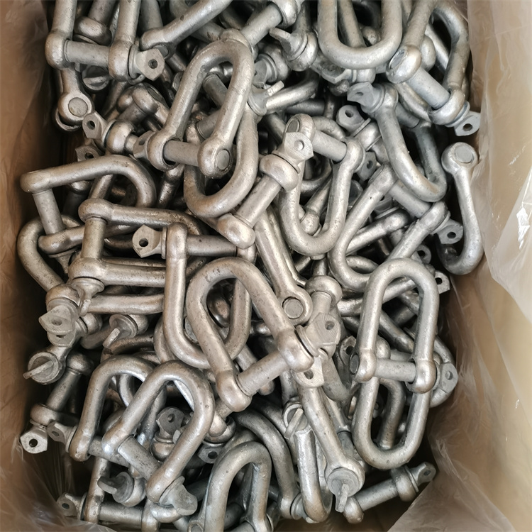 European Type Dee Shackle D Type Shackle