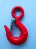 U.S Type Eye Hoist Hook with Latch for Carbon Steel Eye Hook