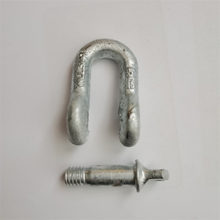 Drop Forged Chain Shackle D Ring Shackle