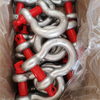 Hot Galvanized Shackle Drop Forged Bow Shackle Wholesale