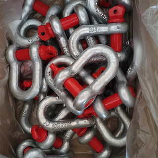 Us Type Chain Connect Shackle Manufacturer
