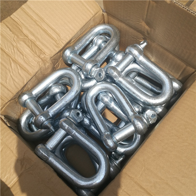 European Type Dee Shackle D Type Shackle
