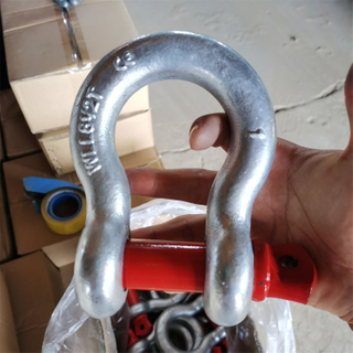 Hot Galvanized Shackle Drop Forged Bow Shackle Wholesale