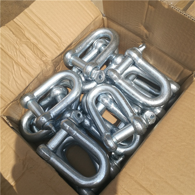 European Type Dee Shackle D Type Shackle