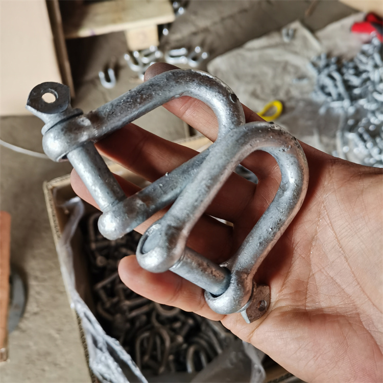 European Type Dee Shackle D Type Shackle