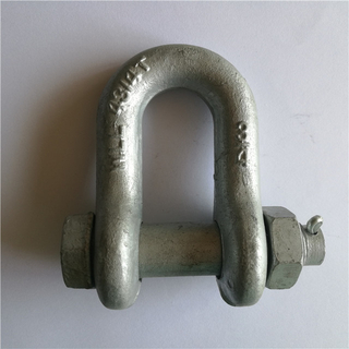 Safety D Shackle Drop Forged U.S. Bolt Type Chain Shackles