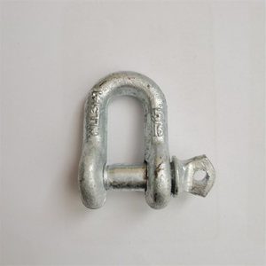 Hot Galvanized Chain Shackle D Shackle 3/4