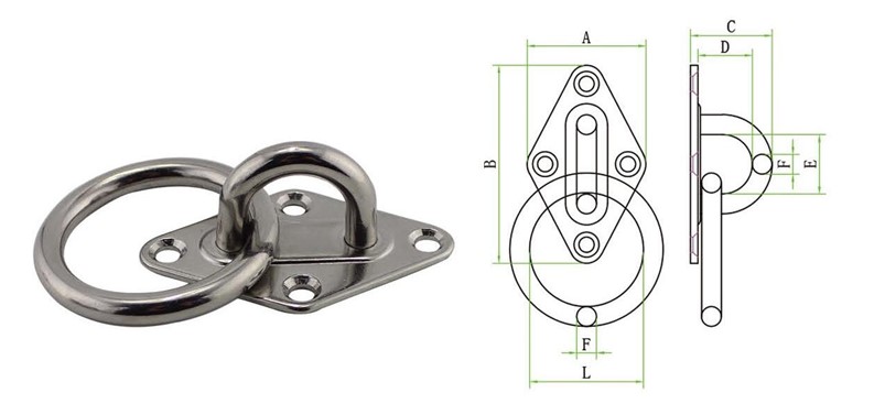 Diamond eye plate with ring data