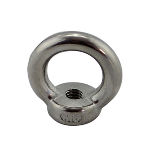 Stainless Steel Lifting Nut DIN582 Eye Nut